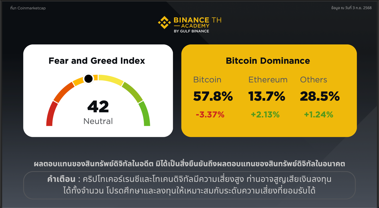 summary-report